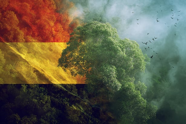 Uganda REDD+ climate milestone